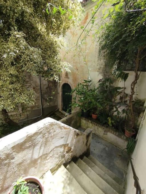 Apartment Hidden Garden Corfu (city)